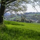 Frühlingslandschaft