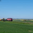 Frühlingslandschaft