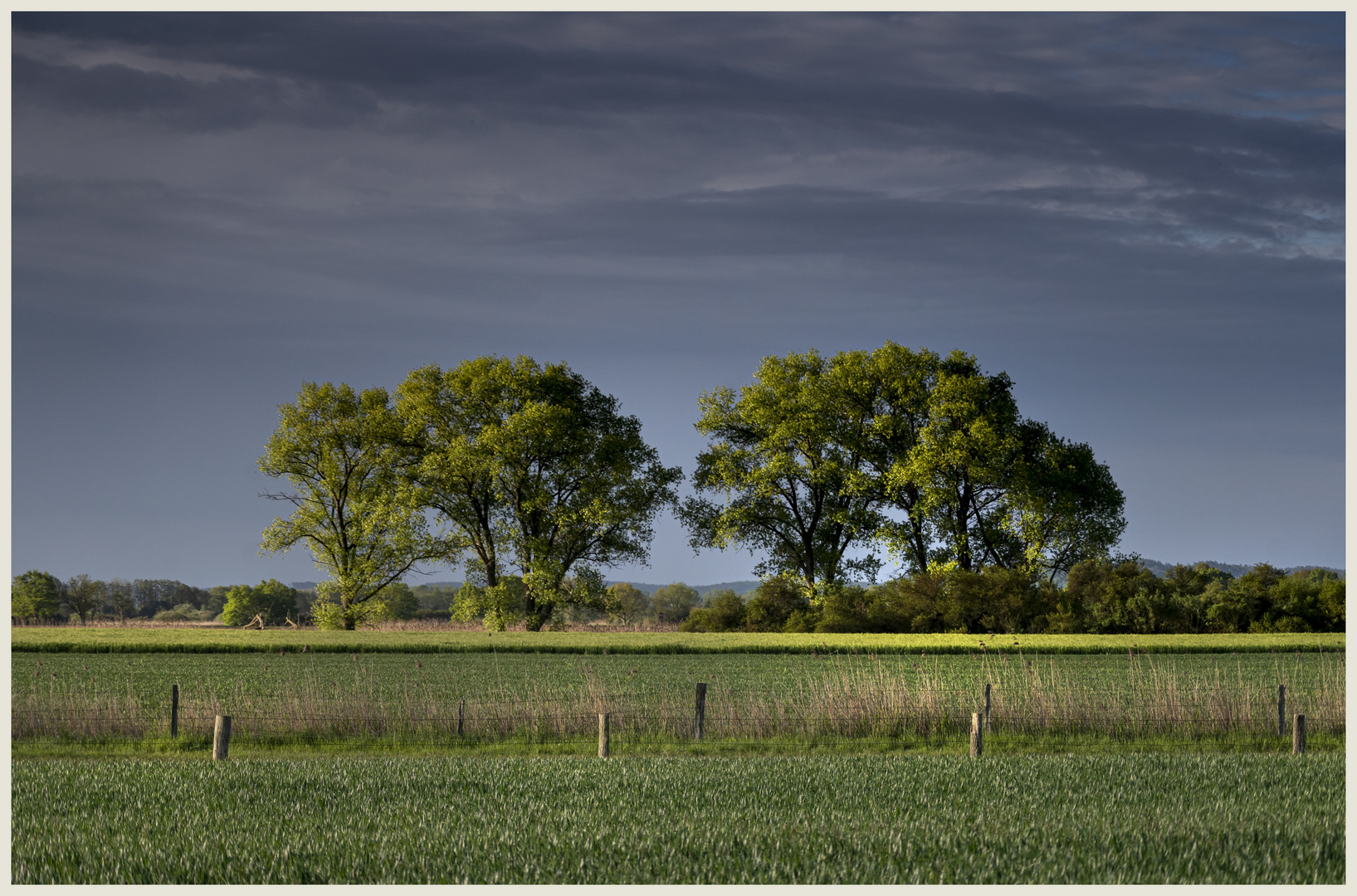 Frühlingslandschaft 