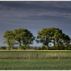 Frühlingslandschaft 