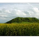 Frühlingslandschaft...