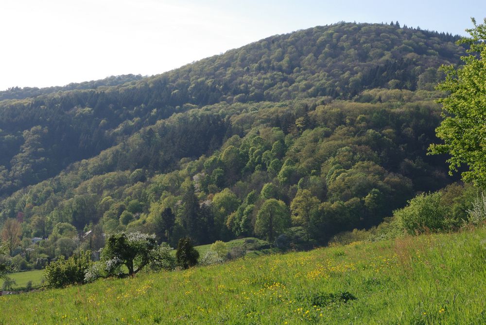 Frühlingslandschaft