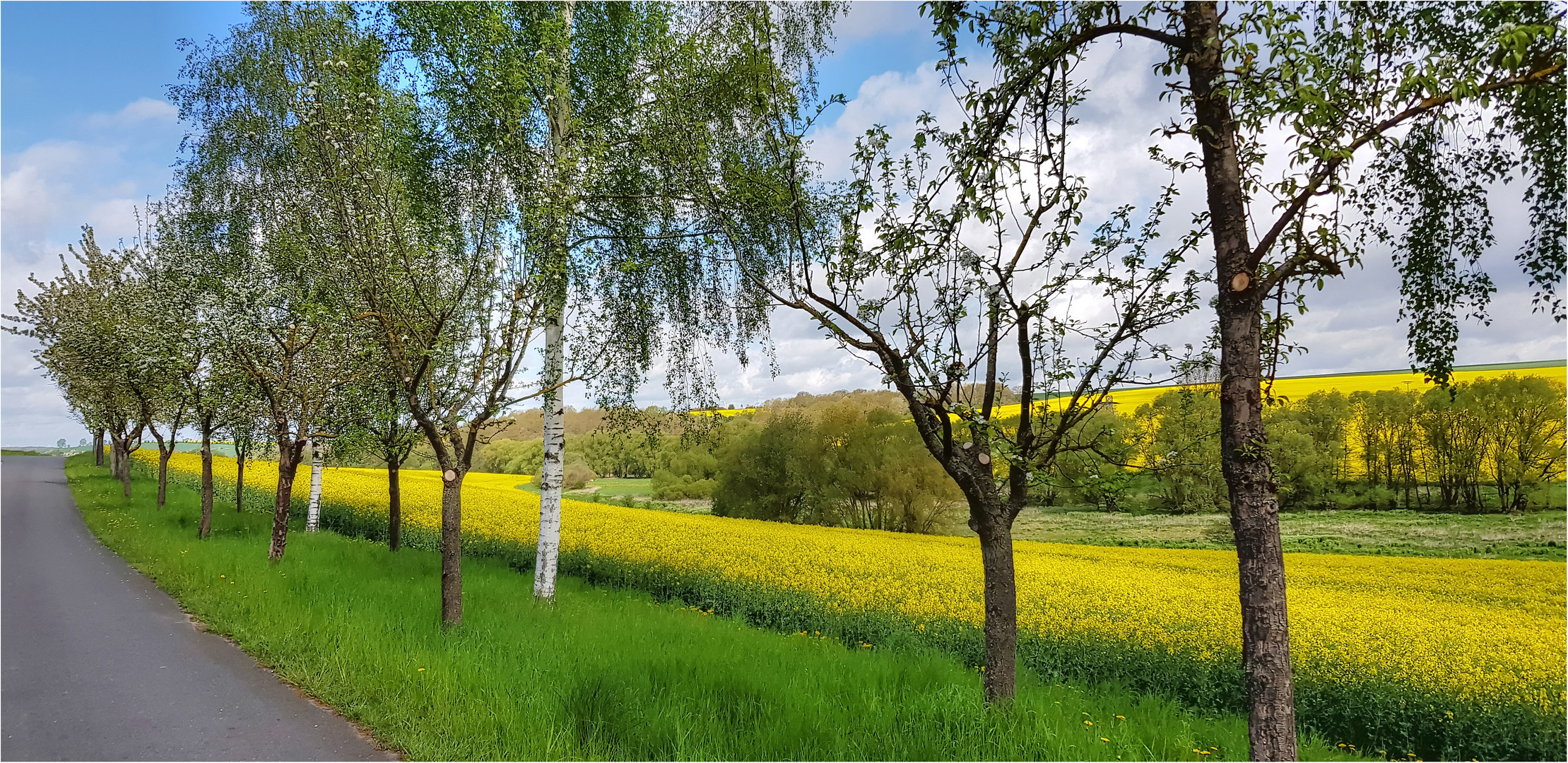 Frühlingslandschaft