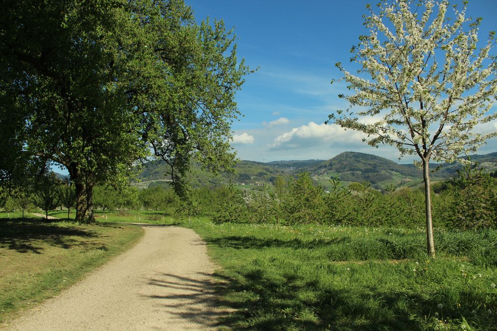 Frühlingslandschaft