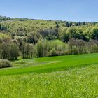 Frühlingslandschaft