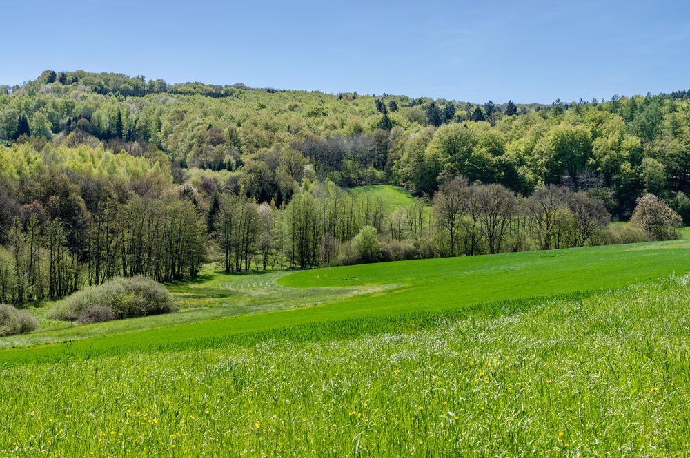 Frühlingslandschaft