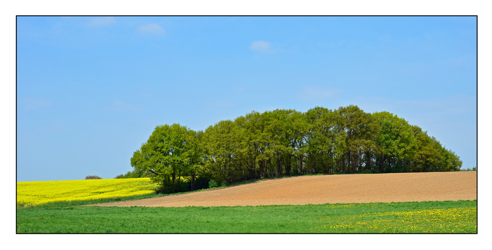 Frühlingslandschaft