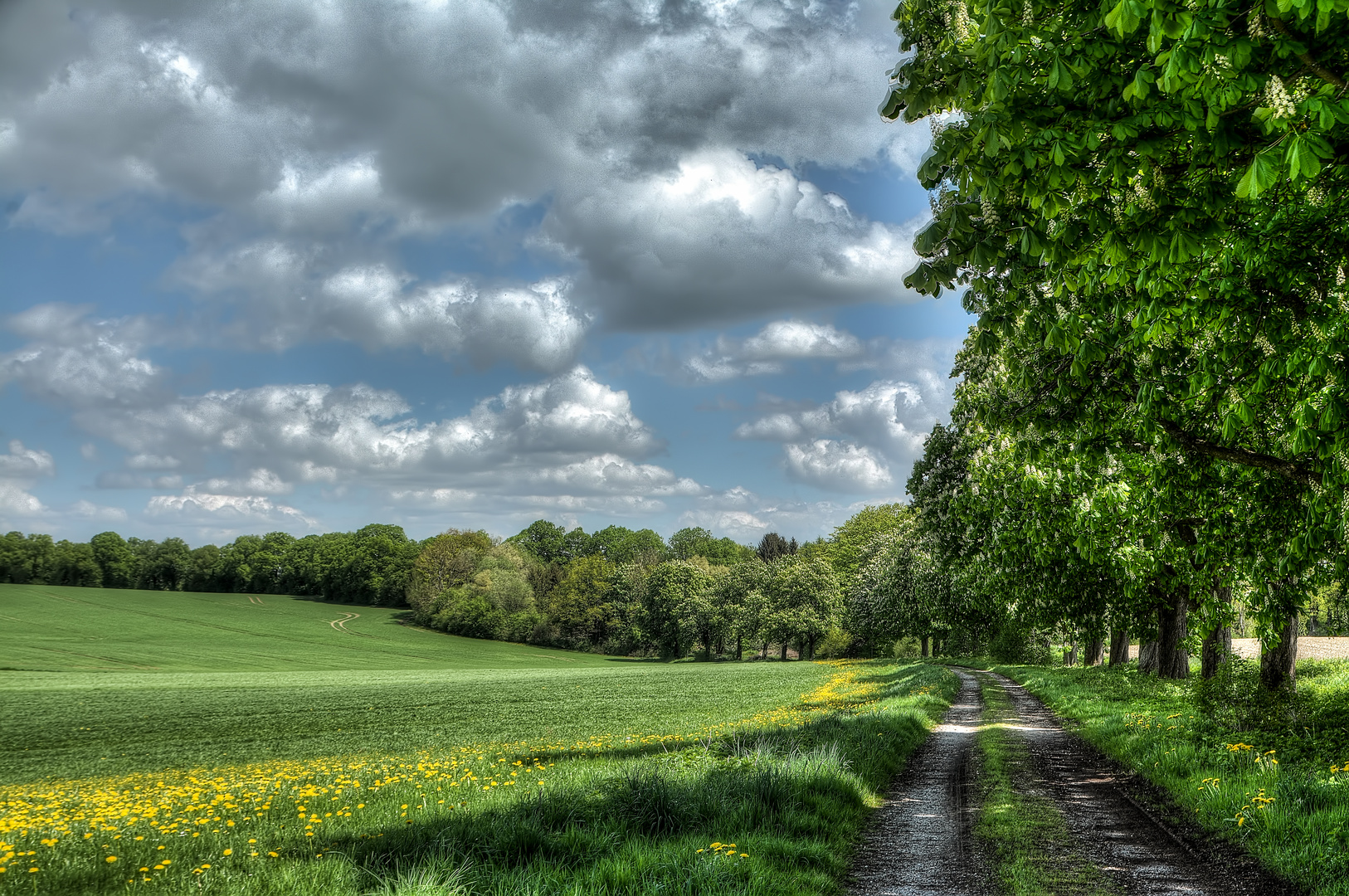 Frühlingslandschaft