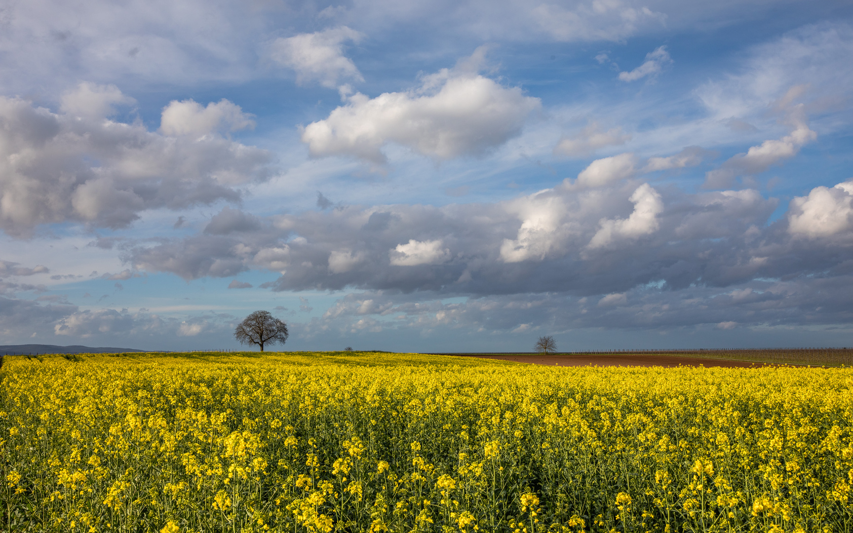 Frühlingslandschaft