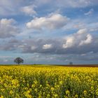 Frühlingslandschaft