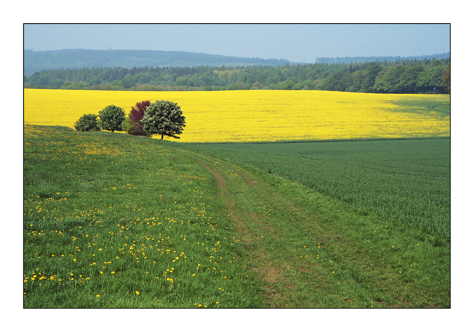 Frühlingslandschaft