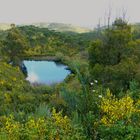 Frühlingslandschaft - Algarve