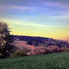 Frühlingslandschaft