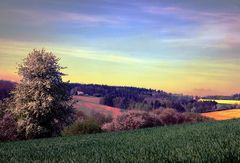 Frühlingslandschaft