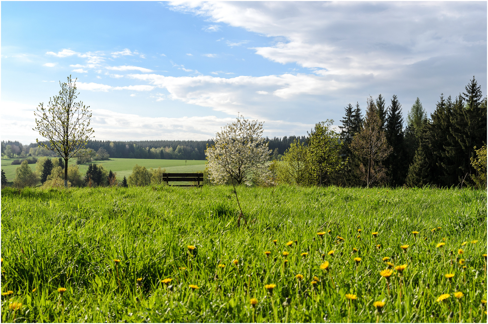 Frühlingslandschaft bei Allrode im Harz