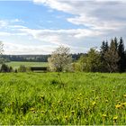 Frühlingslandschaft bei Allrode im Harz