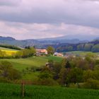 Frühlingslandschaft bei Schmitten FR