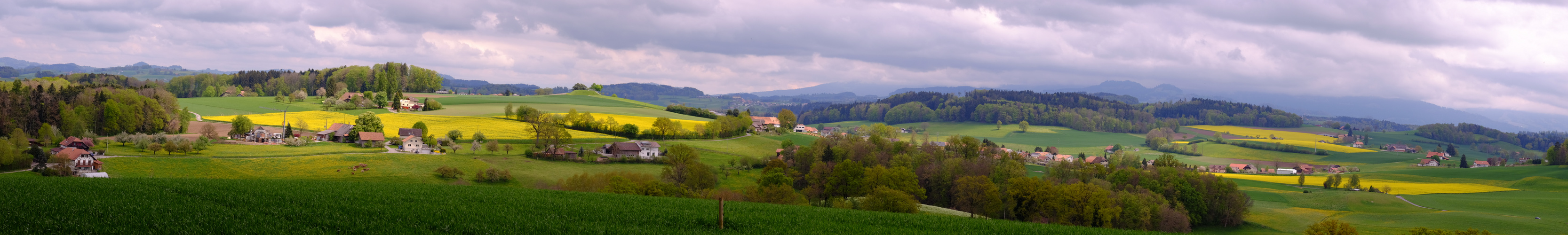 Frühlingslandschaft bei Schmitten FR