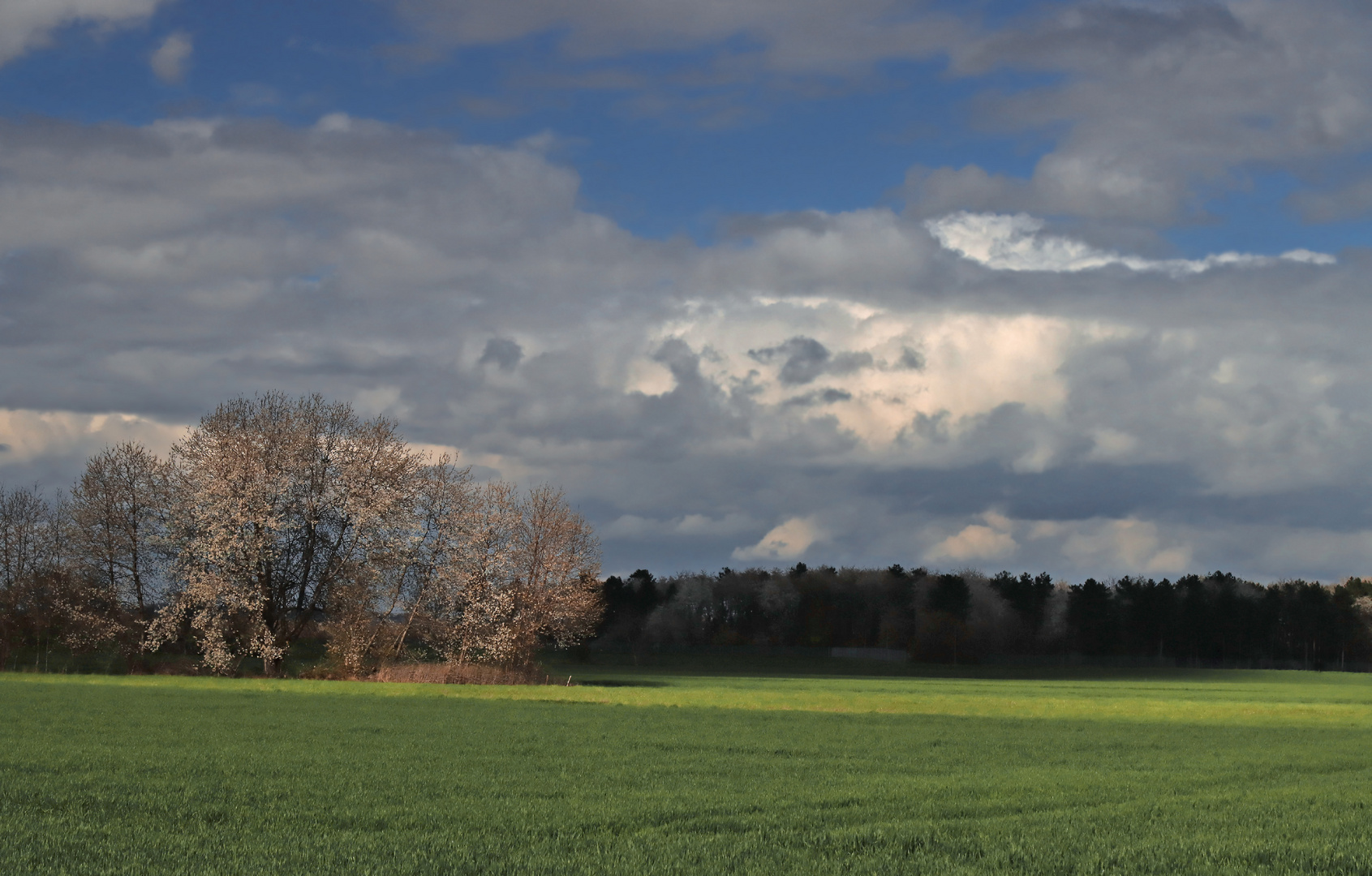 Frühlingslandschaft