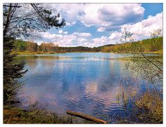 Frühlingslandschaft Birkensee