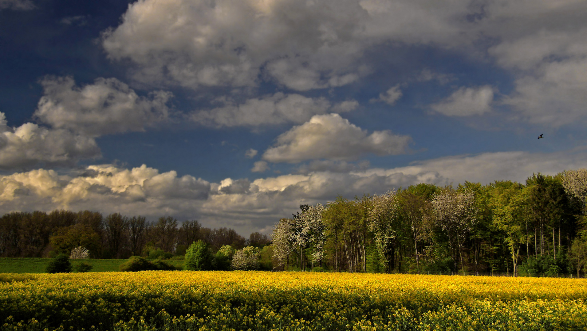 Frühlingslandschaft