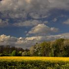 Frühlingslandschaft