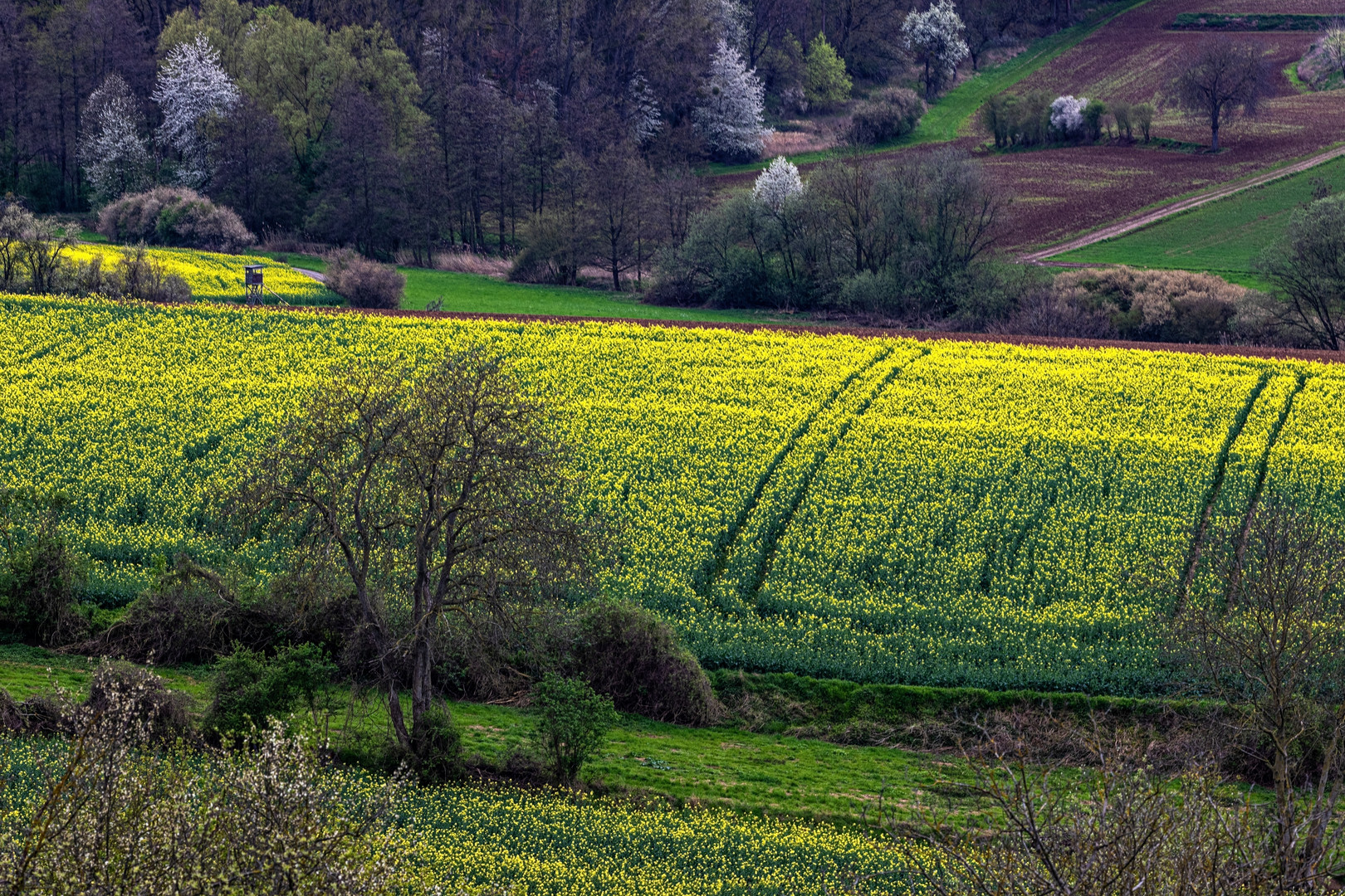 Frühlingslandschaft