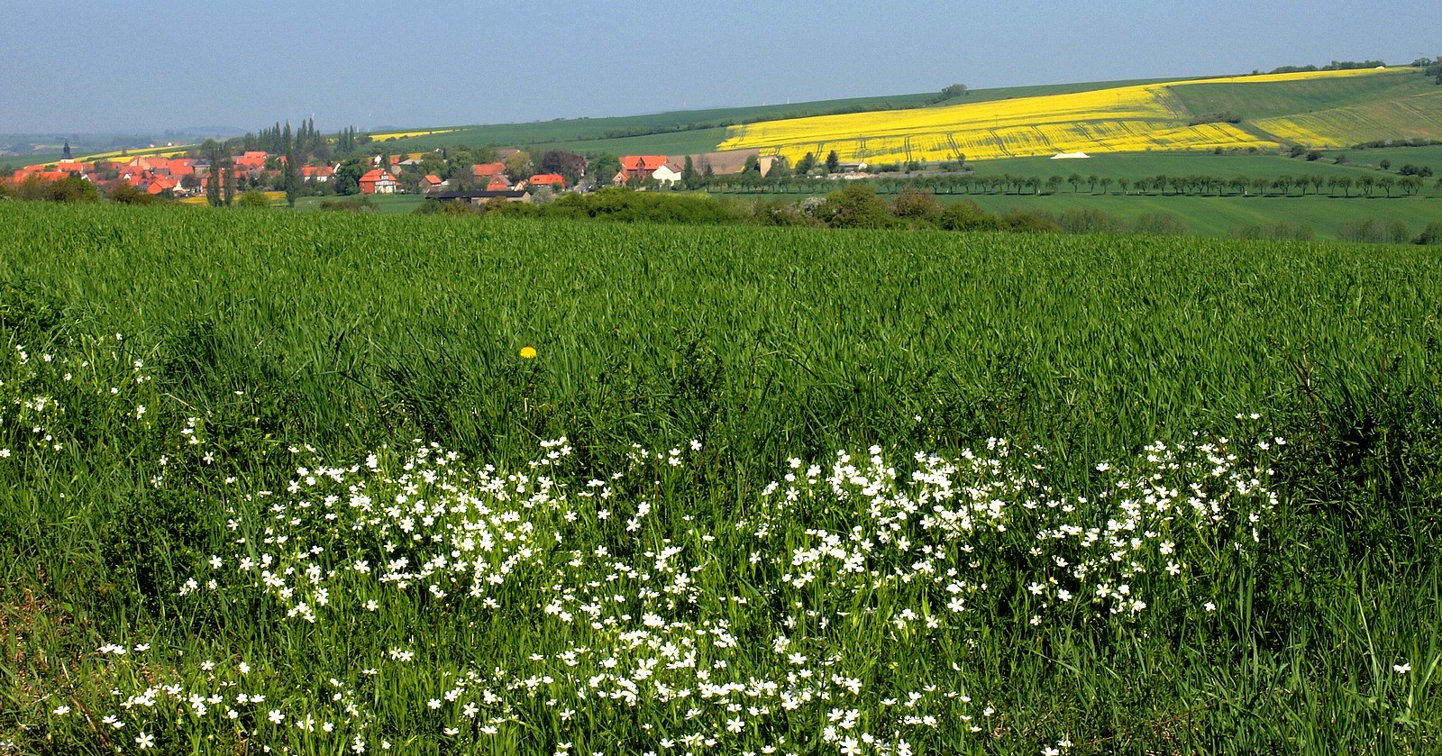 Frühlingslandschaft