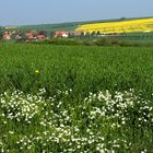 Frühlingslandschaft