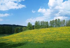 Frühlingslandschaft