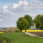 Frühlingslandschaft ...