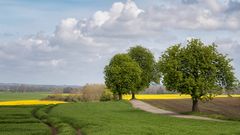 Frühlingslandschaft ...