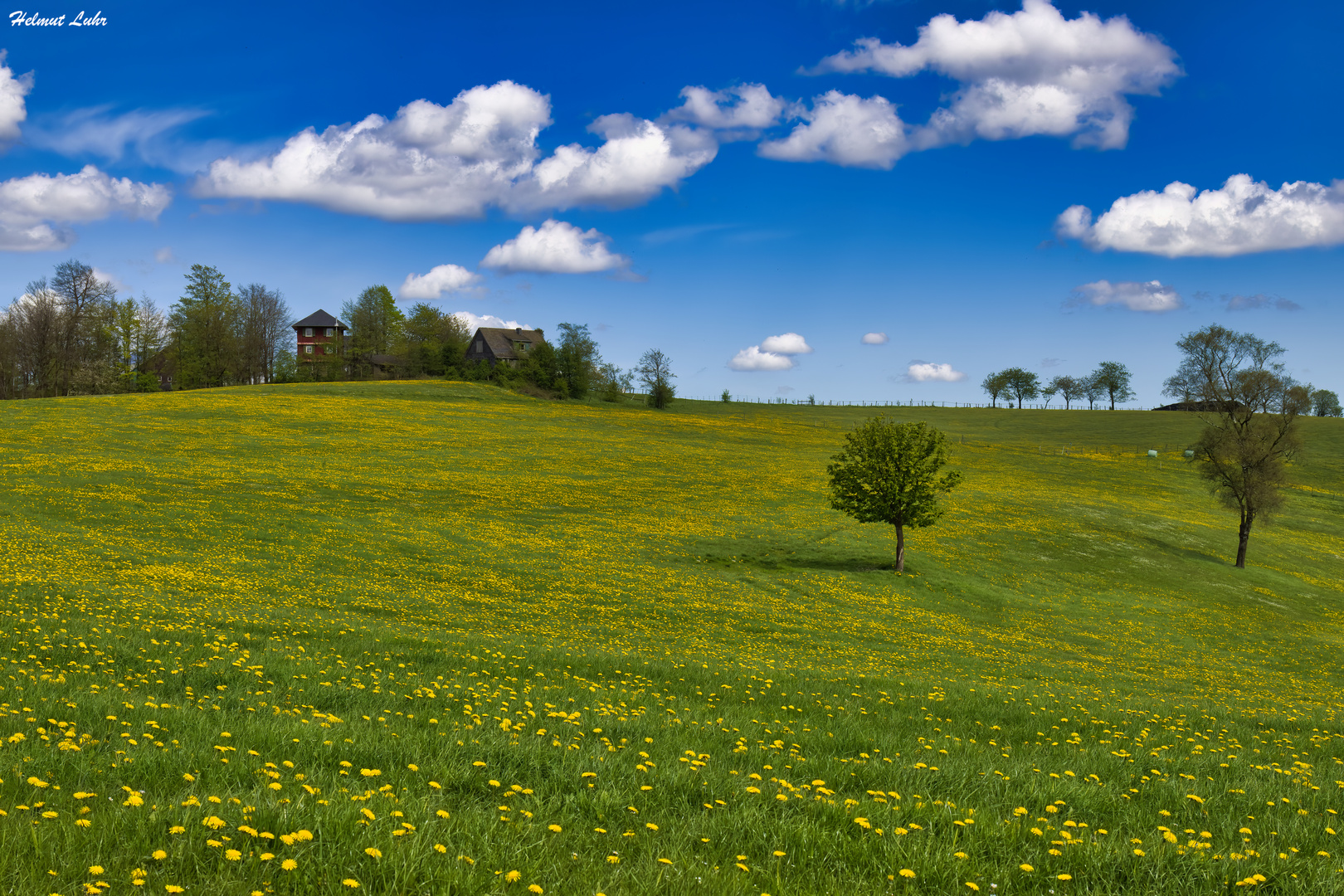 Frühlingslandschaft . . .