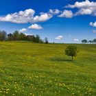 Frühlingslandschaft . . .