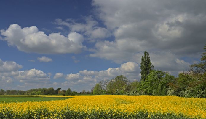 Frühlingslandschaft