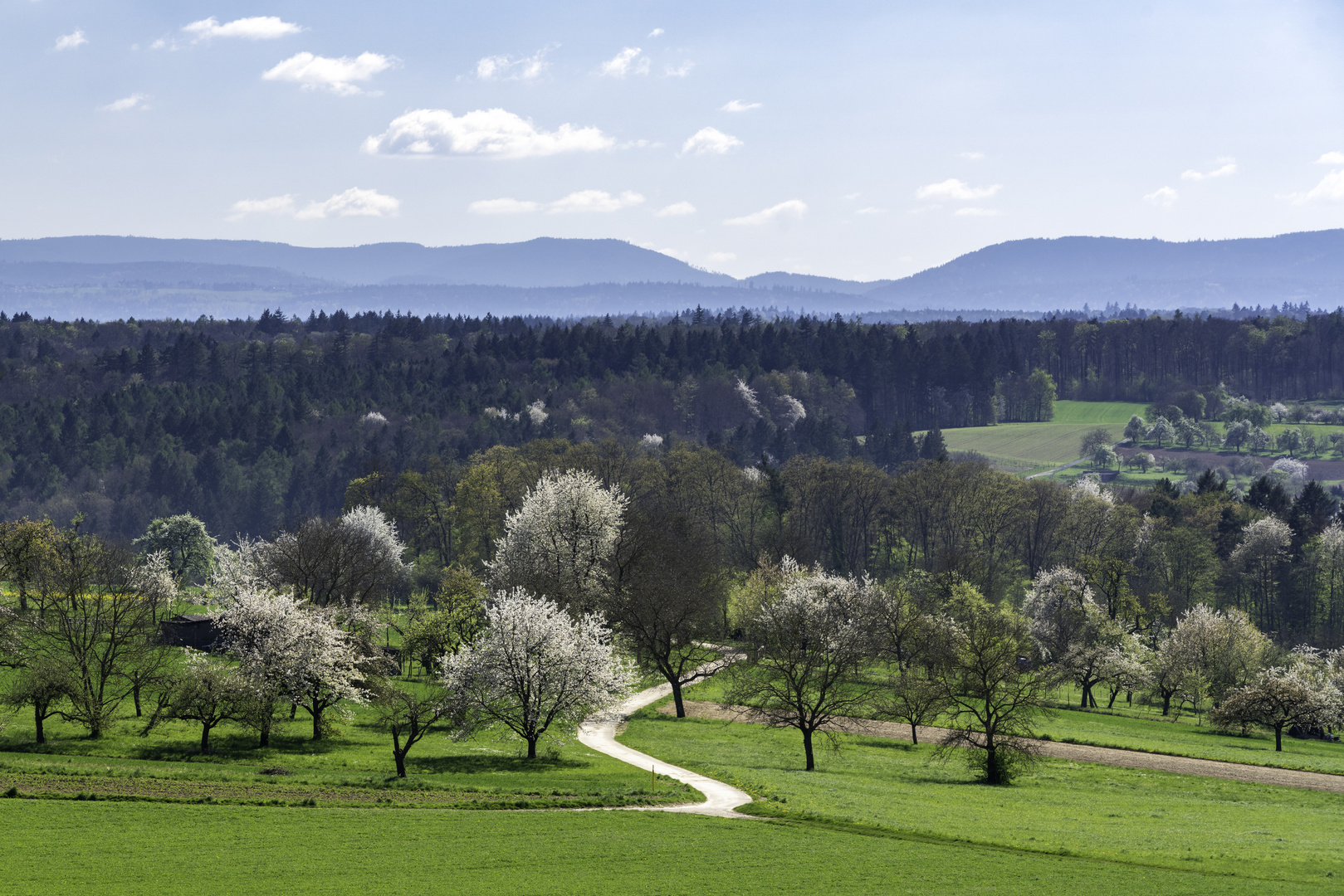 Frühlingslandschaft