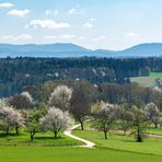 Frühlingslandschaft