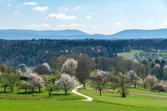 Frühlingslandschaft