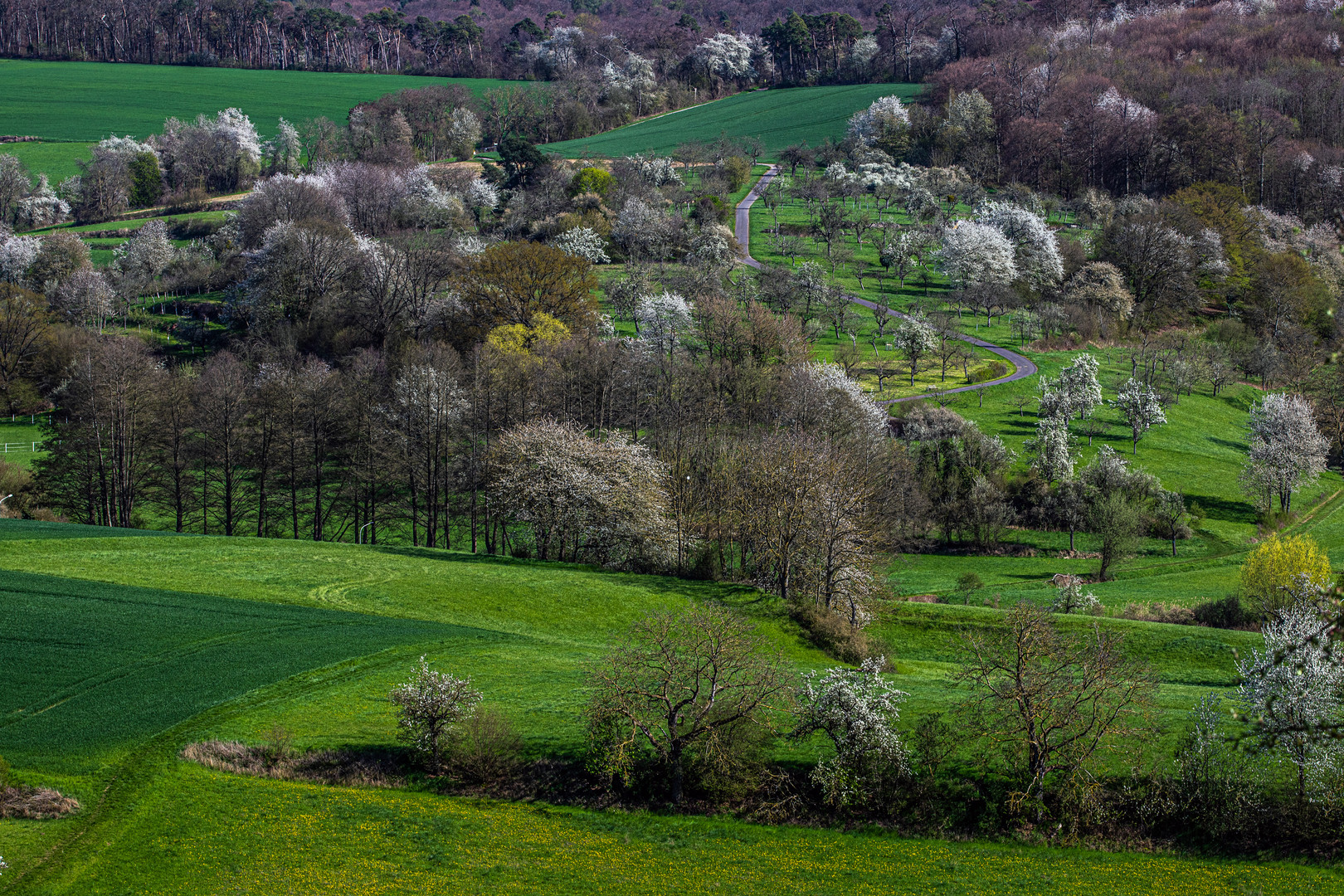 Frühlingslandschaft