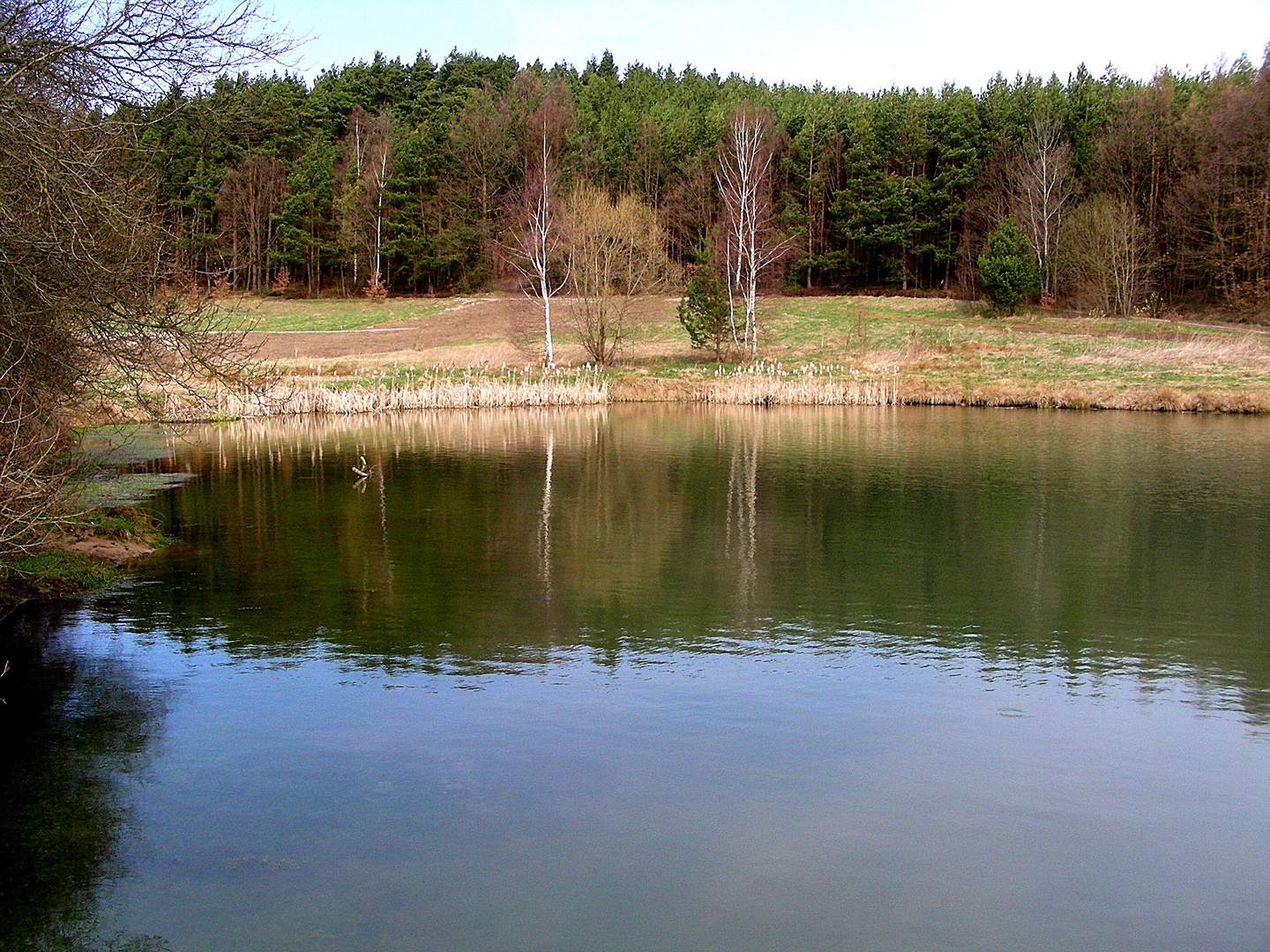 Frühlingslandschaft