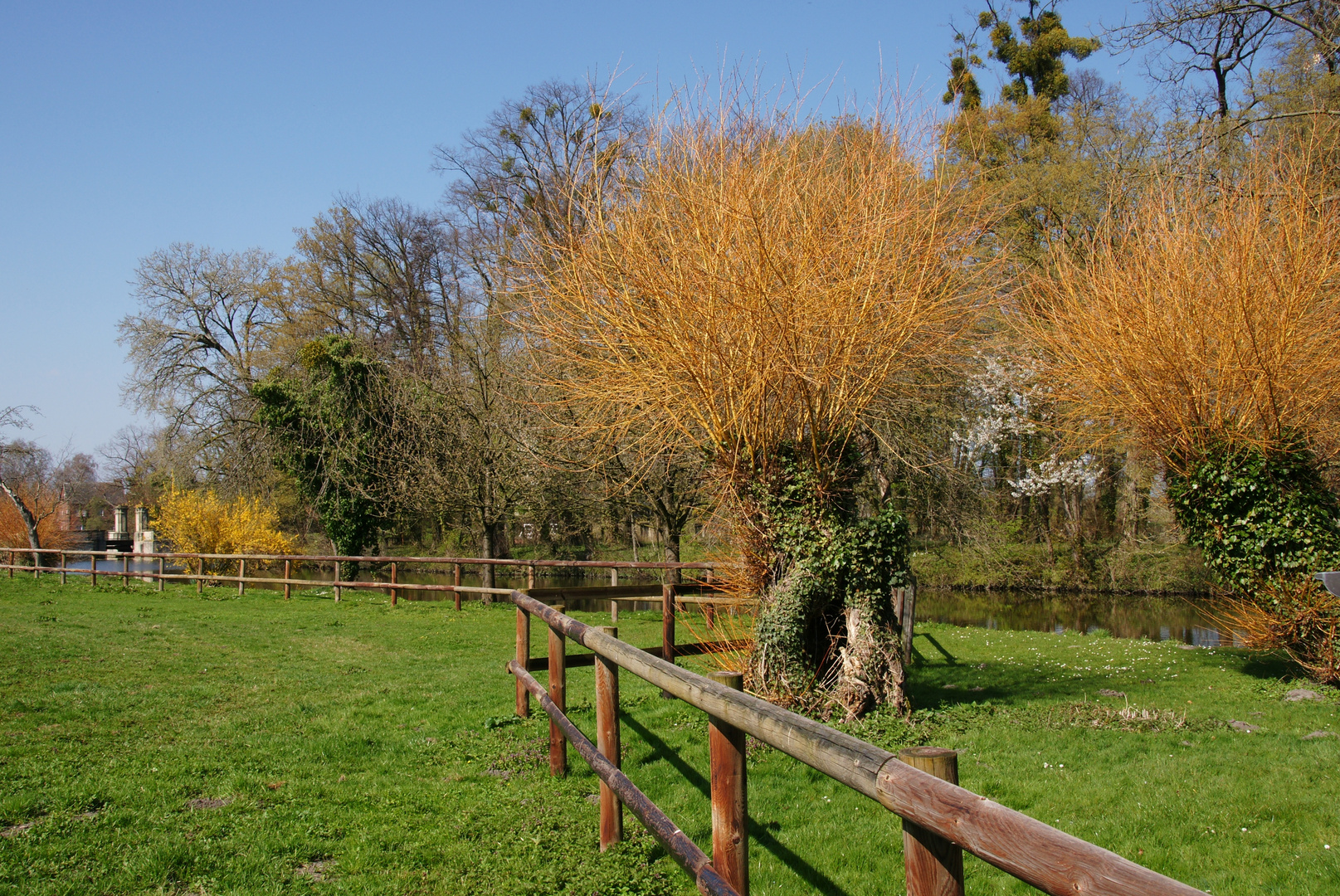 Frühlingslandschaft