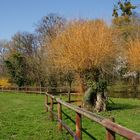 Frühlingslandschaft