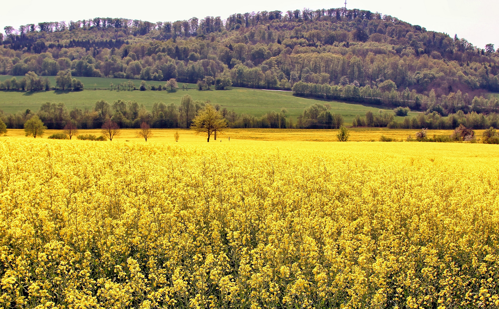 Frühlingslandschaft