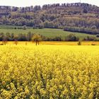 Frühlingslandschaft