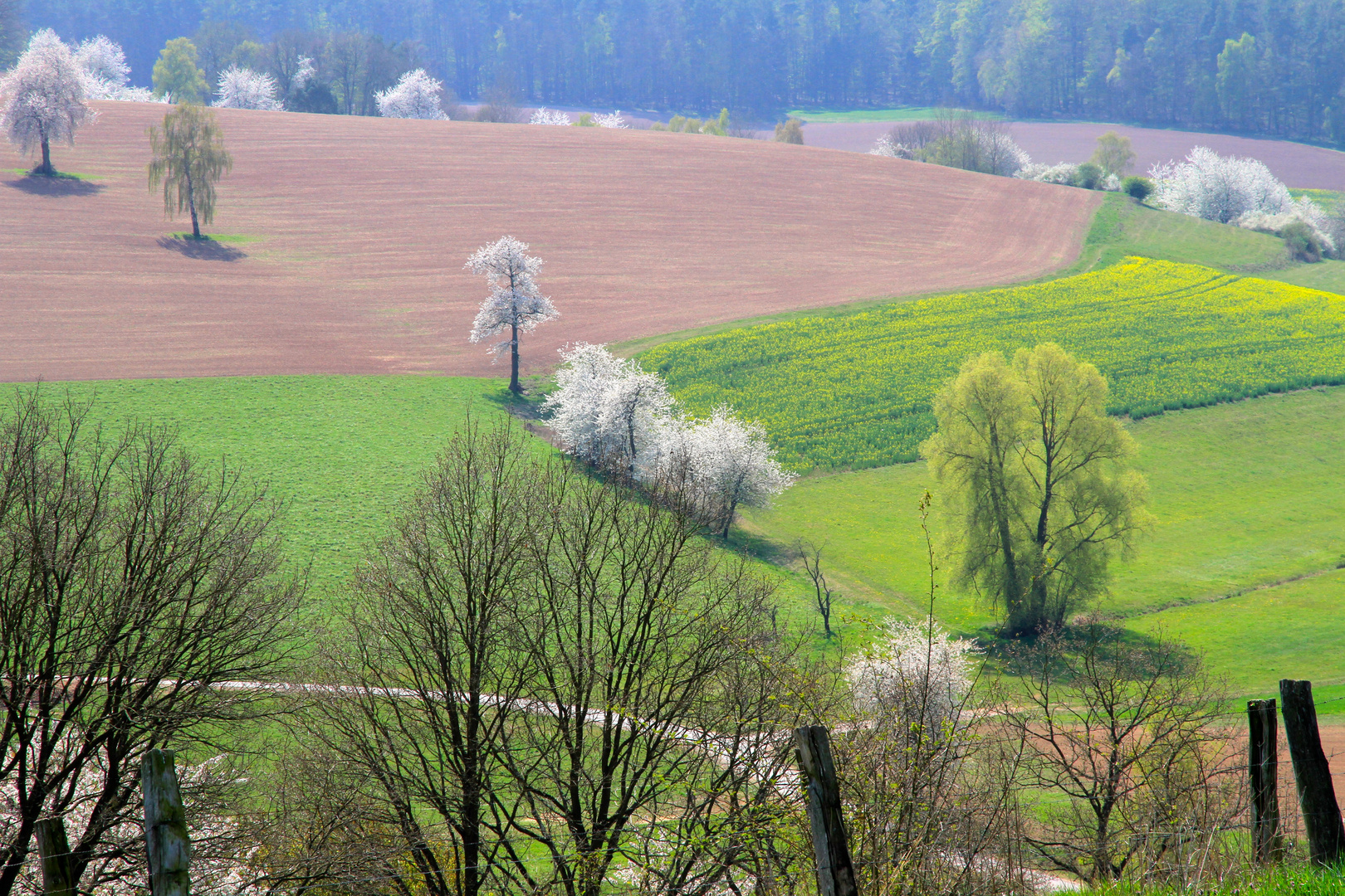 Frühlingslandschaft