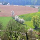 Frühlingslandschaft