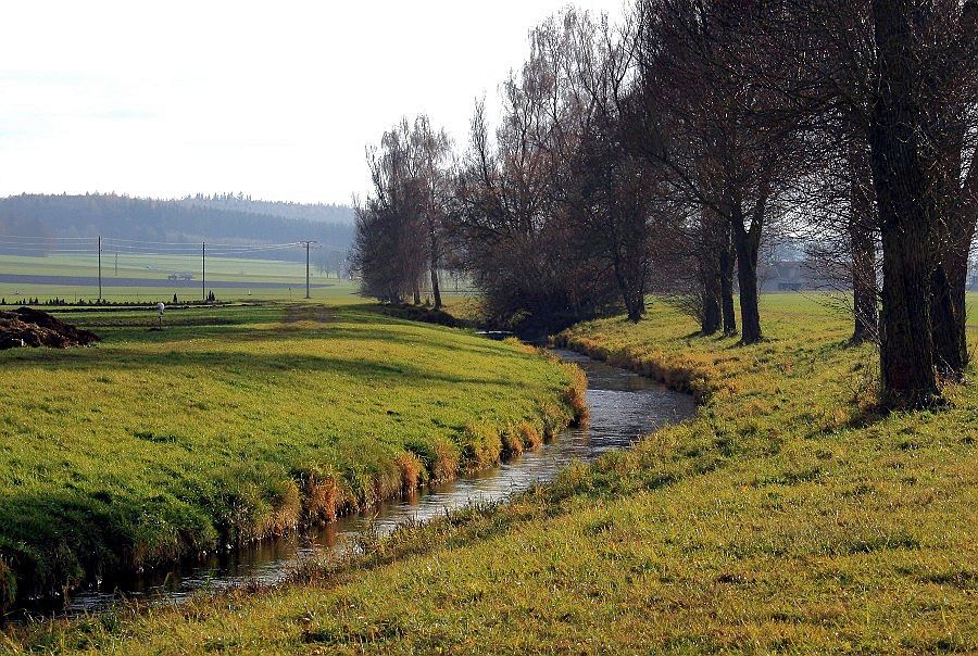 Frühlingslandschaft im November