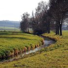 Frühlingslandschaft im November