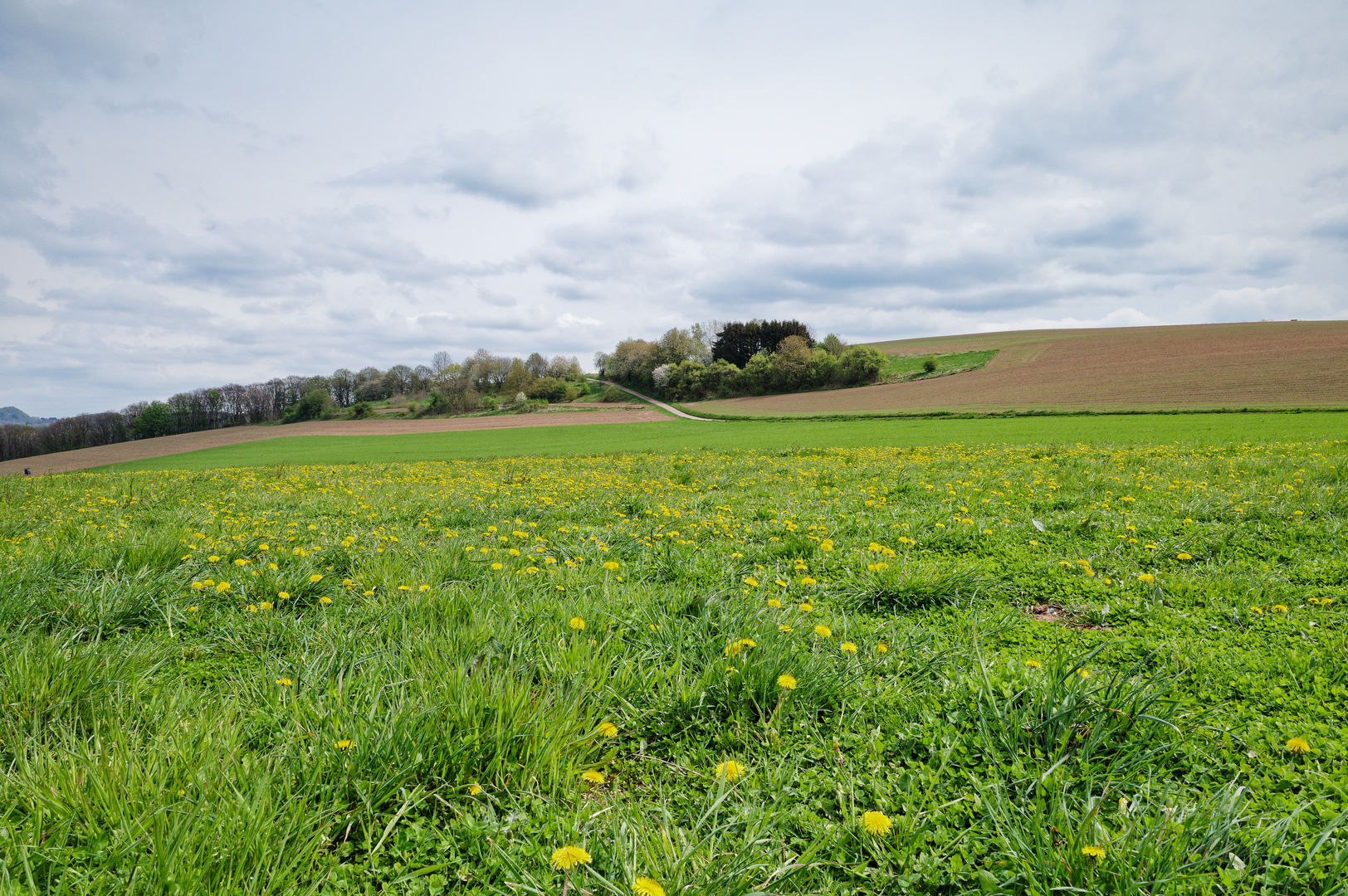 Frühlingslandschaft im Saarland