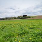 Frühlingslandschaft im Saarland